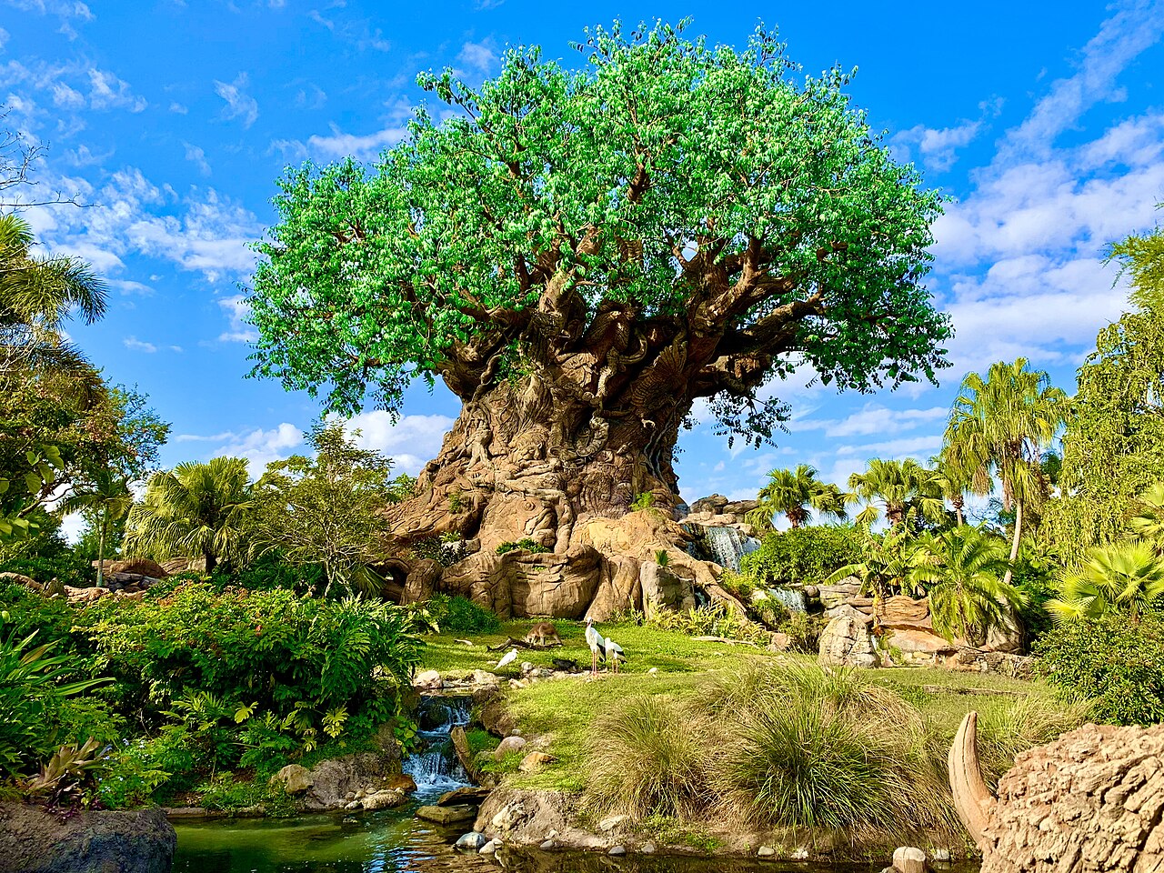 The Tree of Life at Disney's Animal Kingdom